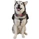 Ultimate Direction рюкзак для собак Dog Vest black S 80469820-BK_S фото 4