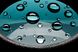 Бінокль Hawke Frontier HD X 10x42 Green (38012) 929049 фото 11
