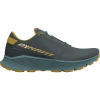Кросівки Dynafit Ultra 100 GTX Mns р. 44
