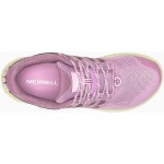 Кросівки Merrell Antora 3 Wms р. 40.5