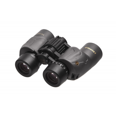 Бінокль Leupold BX-1 Yosemite 10x30mm Porro Shadow Grey