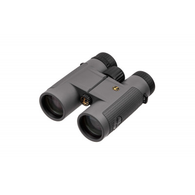 Бінокль Leupold BX-1 McKenzie 10x42 Roof темно-сірий