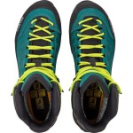 Черевики Salewa WS Rapace GTX р. 38