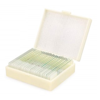 Слайди set of 25. mix (E35.3611) (S-002.1)