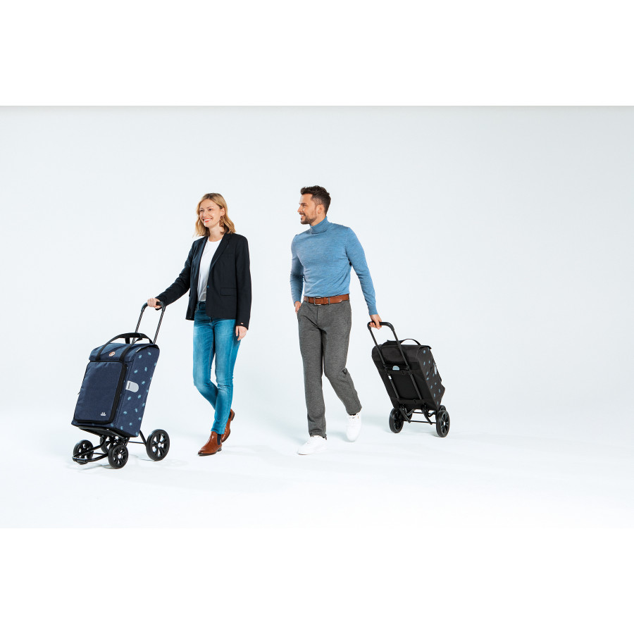 Сумка-візок Andersen Quattro Shopper Ando Blue (185-170-90)