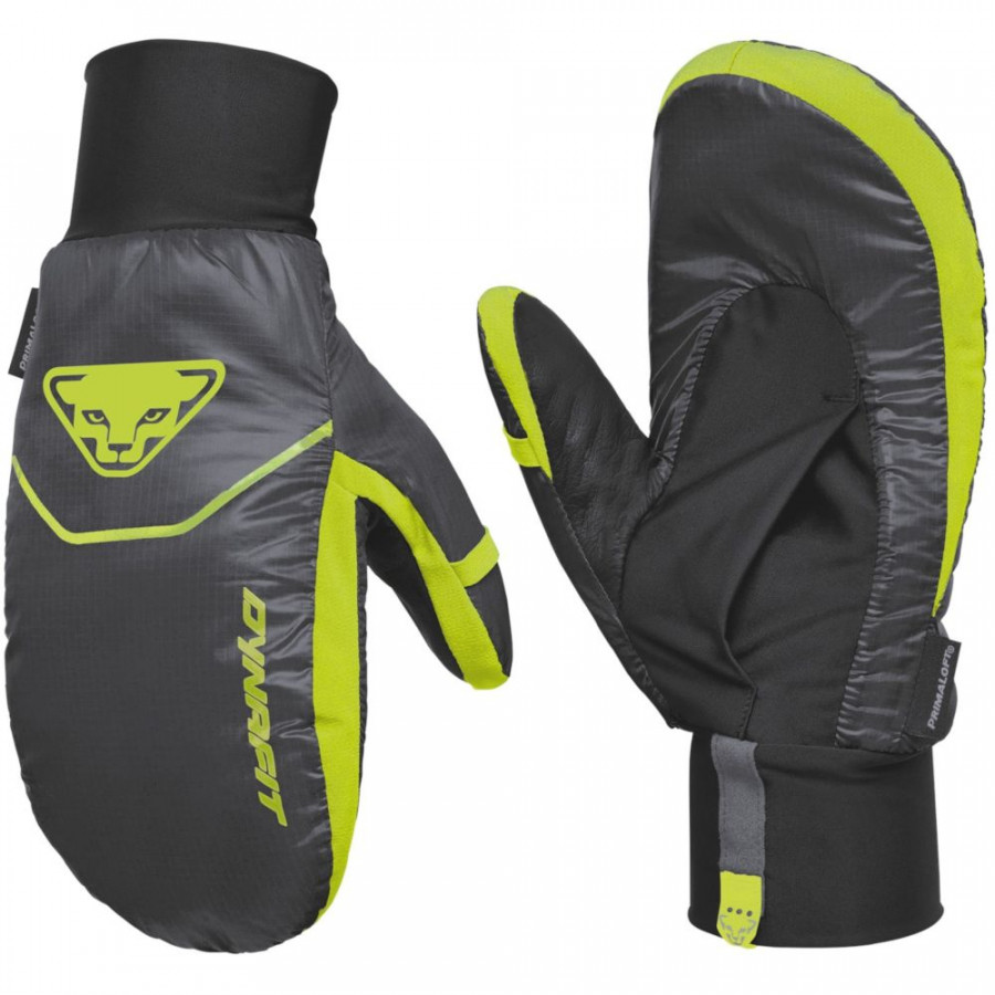 Рукавиці Dynafit Borax Primaloft Mitt