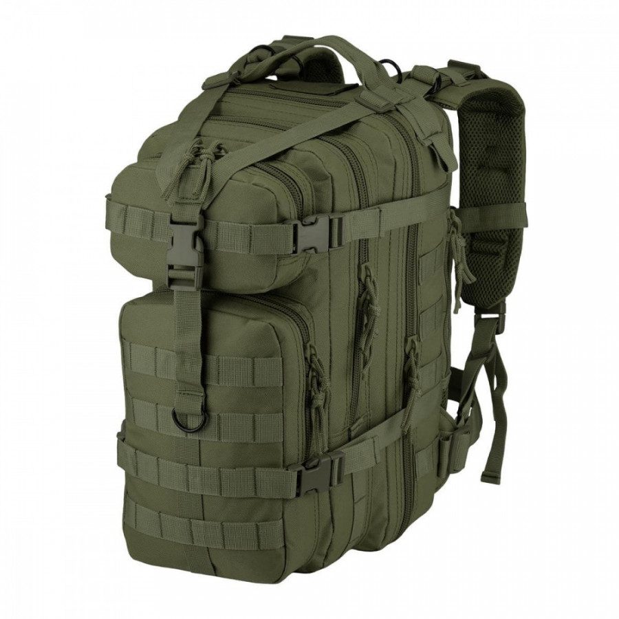 Рюкзак тактичний Camo Assault 25L olive green (029.002.0013)