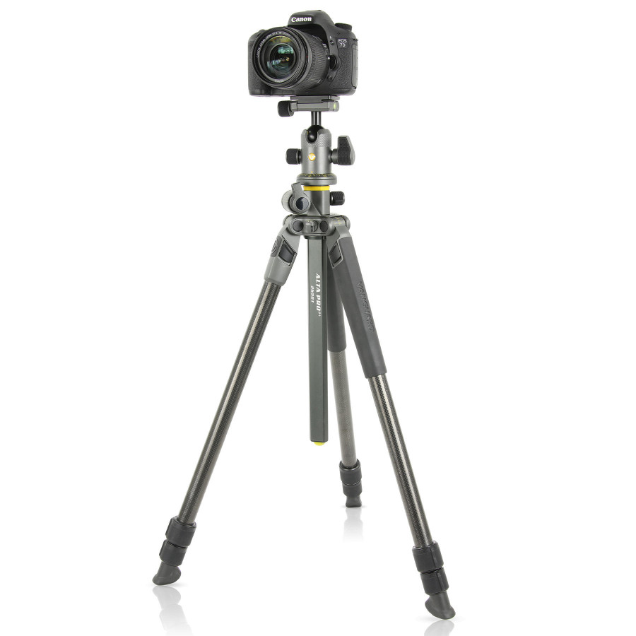 Штатив Vanguard Alta Pro 2+ 263CB 100 (Alta Pro 2+ 263CB 100)