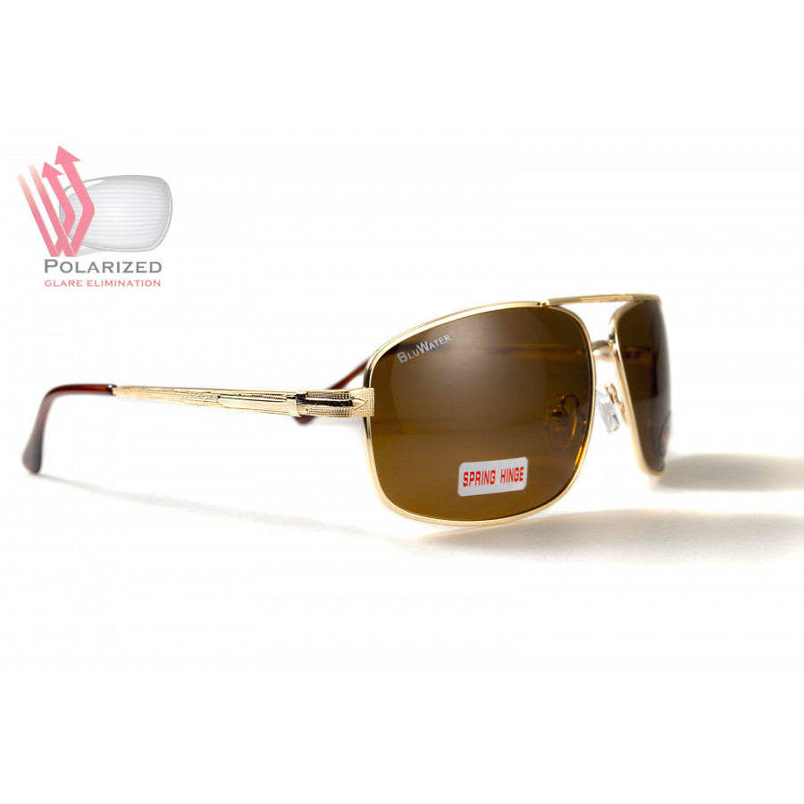 Окуляри поляризаційні BluWater Navigator-2 Polarized (brown), коричневі в золотистій оправі