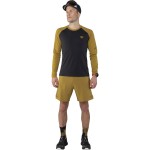 Футболка Dynafit Alpine Pro L/S Tee Mns р. S