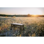 Стіл Tribe Camp Table Low пластиковий T-EF-0003-olive