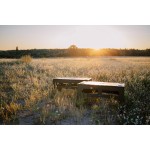 Стіл Tribe Camp Table Low пластиковий T-EF-0003-olive