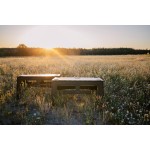 Стіл Tribe Camp Table Low пластиковий T-EF-0003-olive