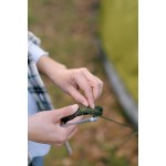 Намет кемпінговий Tribe Meteora 4 T-AC-0012-olive