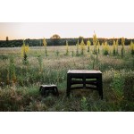 Стілець Tribe Camp Chair Low пластиковий T-EF-0001-black