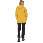 Куртка Salewa Puez Aqua 4 PTX 2.5L Wms р. S