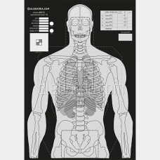 Мишень Алебарда Анатомический силуэт ALB-52 ч/б