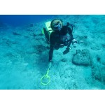 Підводний металошукач Nokta PulseDive Scuba Detector