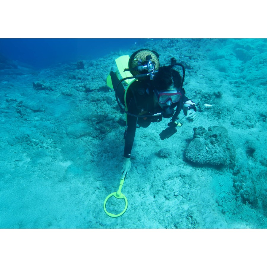 Підводний металошукач Nokta PulseDive Scuba Detector