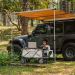 Акумуляторний візок Litheli з двигуном від павербанку (УМБ Litheli Power Bank 20000 mAh, 45 W в комплекті)