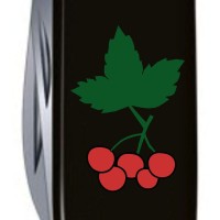 Ніж Huntsman Ukraine 91мм/15функ/чорн /Калина