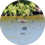 Далекомір Discovery Camo Rangerfinder D4000