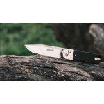 Ніж складаний Ganzo G767-BK чорний