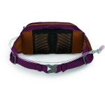 Поясна сумка Osprey Seral 4 р. Uni