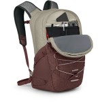 Рюкзак Osprey Quasar р. Uni
