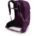 Рюкзак Osprey Sportlite 25 р. M/L