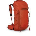 Рюкзак Osprey Talon Pro 30 р. Uni