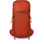 Рюкзак Osprey Talon Pro 30 р. Uni