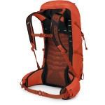 Рюкзак Osprey Talon Pro 30 р. Uni