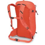Рюкзак Osprey Mutant 22 р. Uni