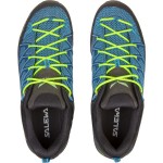 Кросівки Salewa MS MTN Trainer Lite р. 46