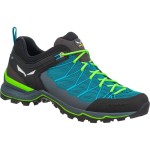 Кросівки Salewa MS MTN Trainer Lite р. 46