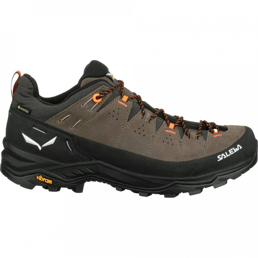 Кросівки Salewa Alp Trainer 2 GTX Mns