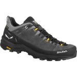 Кросівки Salewa Alp Trainer 2 GTX Mns р. 43