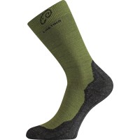 Шкарпетки Lasting WHI р. M