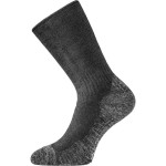 Шкарпетки Lasting WSM р. M