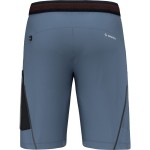 Шорти Salewa Pedroc 3 DST Cargo Mns р. XL