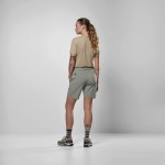 Шорти Salewa Puez Talvena DST Wmn р. XS