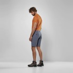 Шорти Salewa Puez Talveno DST Mns р. M