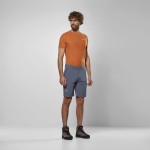 Шорти Salewa Puez Talveno DST Mns р. XL