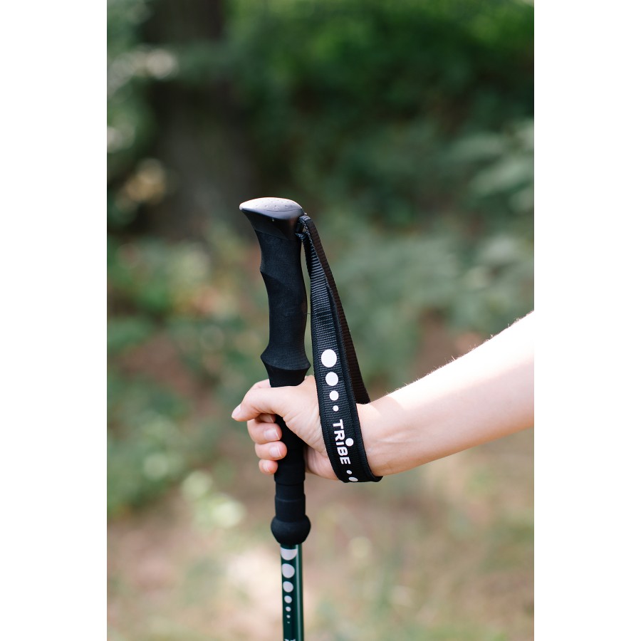 Трекінгові палиці Tribe Trekking Pole Alu T-ME-0026-ocean