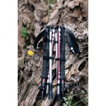 Трекінгові палиці Tribe Z-Pole Alu T-ME-0024-plum