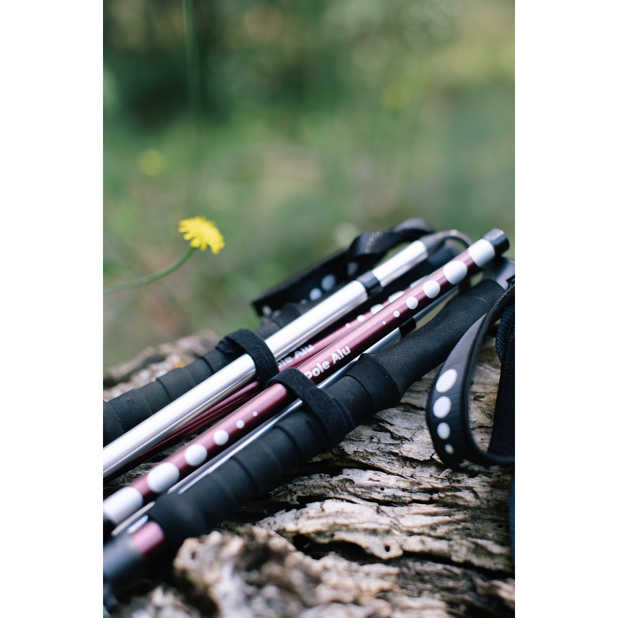 Трекінгові палиці Tribe Z-Pole Alu T-ME-0024-plum