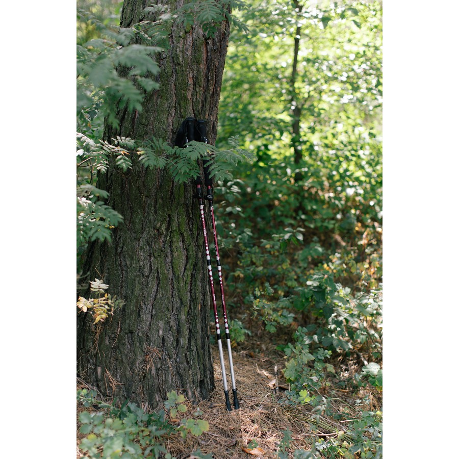 Трекінгові палиці Tribe Z-Pole Alu T-ME-0024-plum