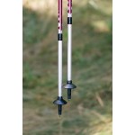 Трекінгові палиці Tribe Z-Pole Alu T-ME-0024-plum