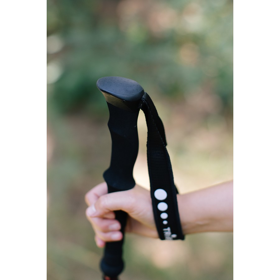 Трекінгові палиці Tribe Z-Pole Alu T-ME-0024-plum